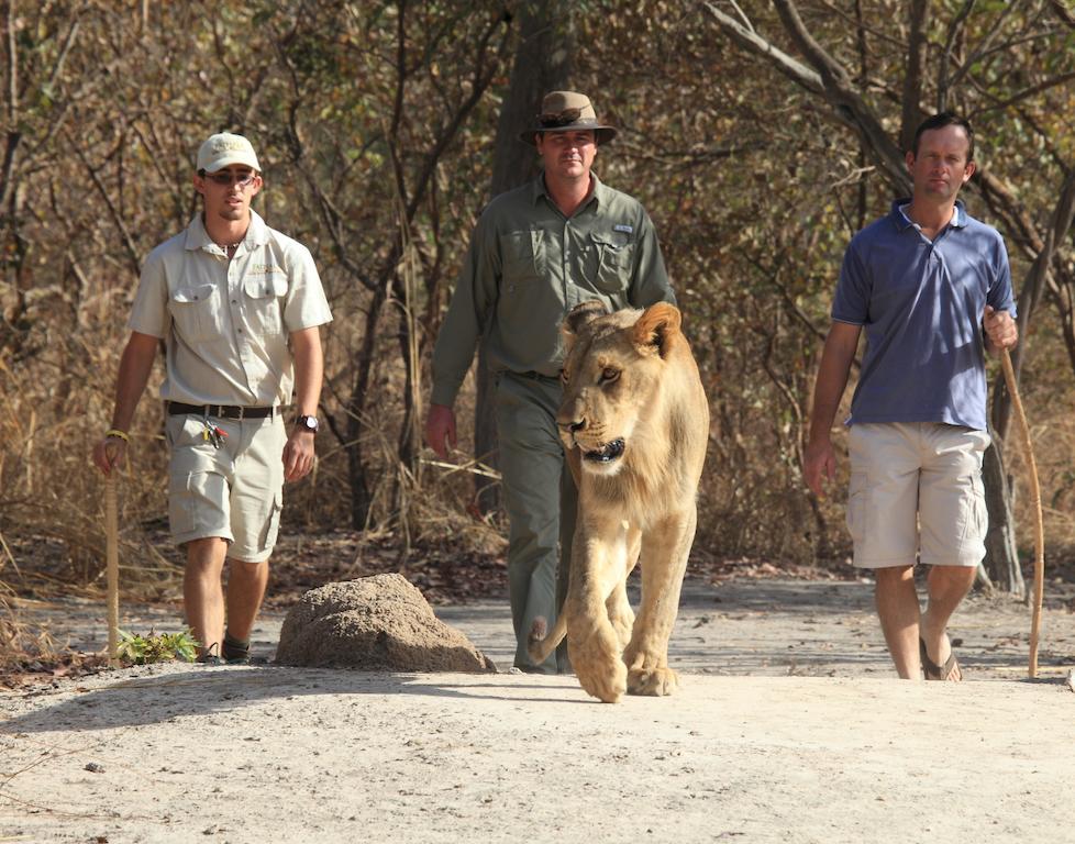 Toubakouta Fathala Wildlife Reserve المظهر الخارجي الصورة