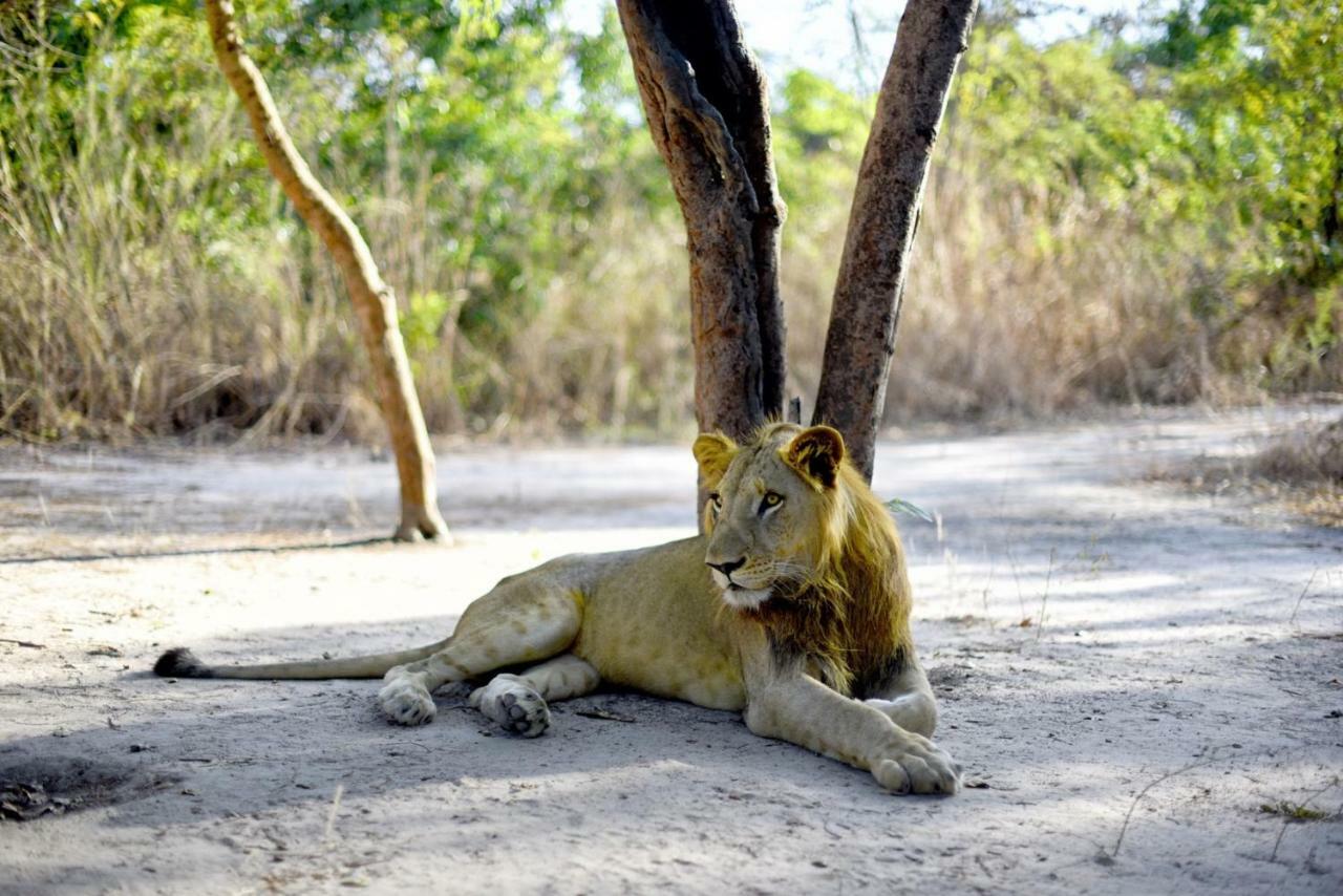 Toubakouta Fathala Wildlife Reserve المظهر الخارجي الصورة