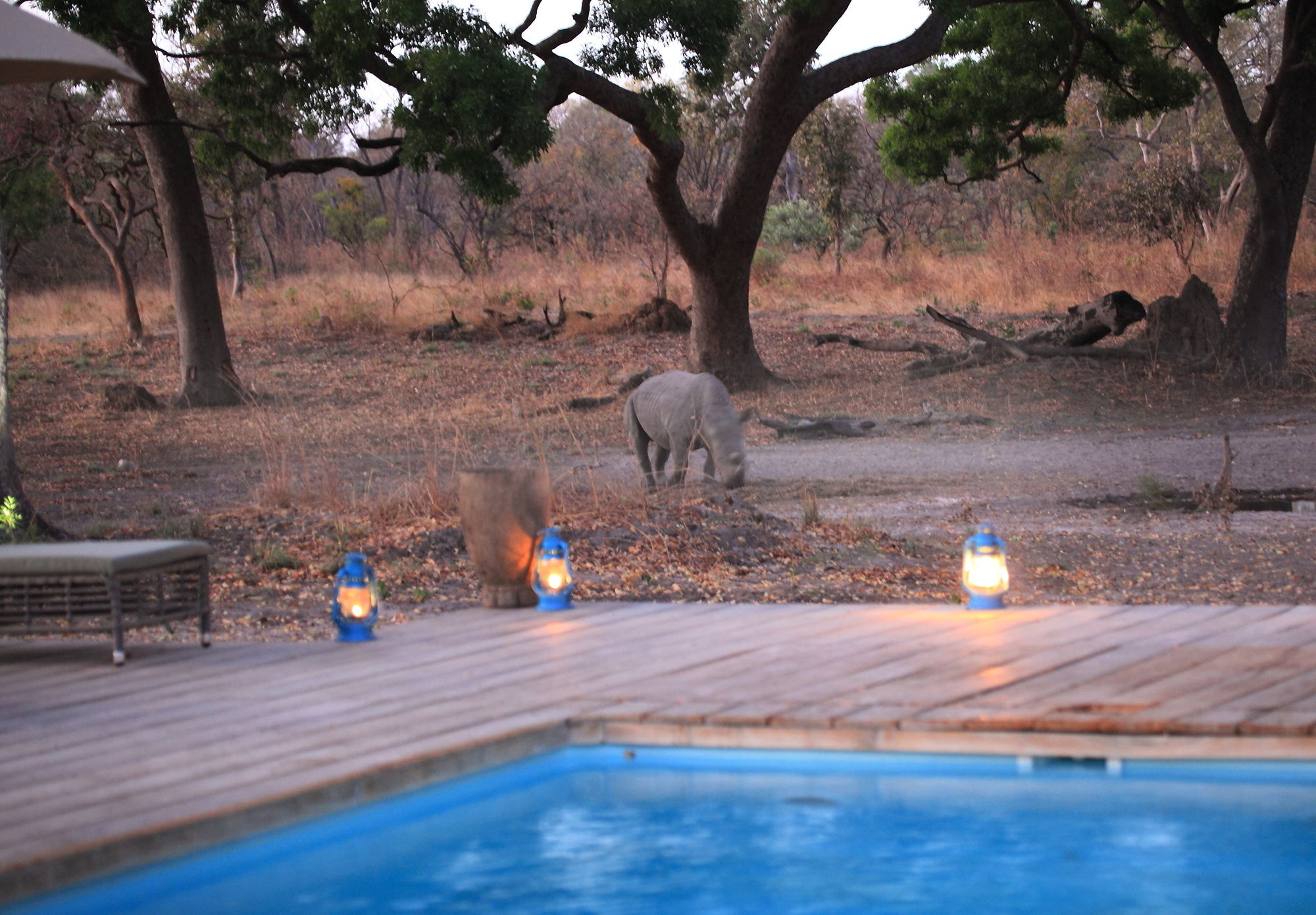 Toubakouta Fathala Wildlife Reserve المظهر الخارجي الصورة