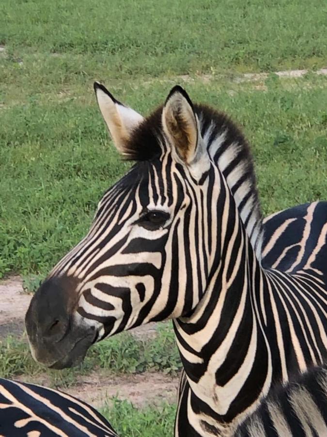 Toubakouta Fathala Wildlife Reserve المظهر الخارجي الصورة
