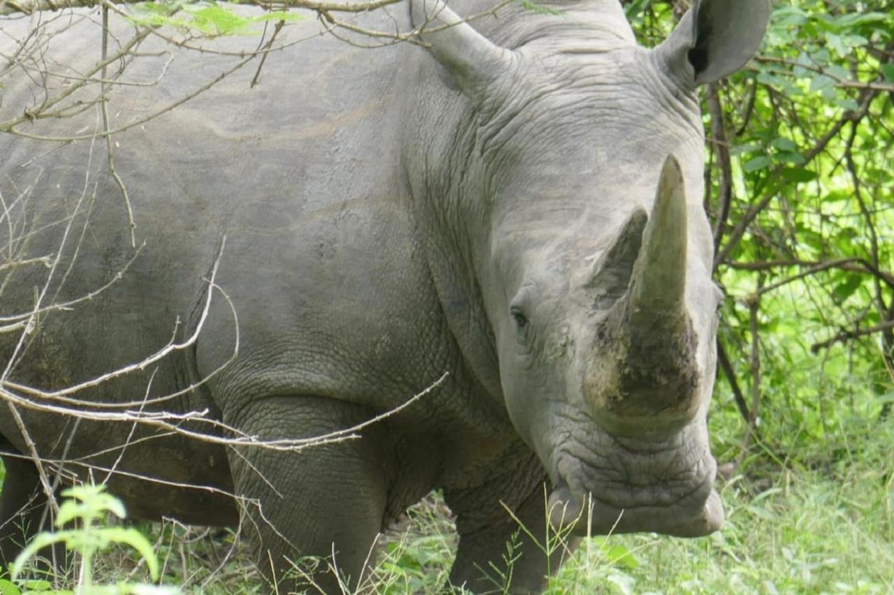 Toubakouta Fathala Wildlife Reserve المظهر الخارجي الصورة